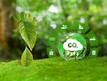 Đã có 1.310 hạn ngạch được giao dịch trên sàn carbon trong nước sau hơn 2 tháng
