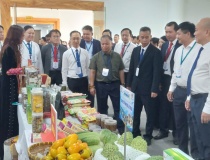 Chuyển đổi số và thương mại xanh nâng tầm liên kết giao thương miền Bắc