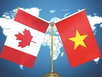 Việt Nam - Canada mở rộng dư địa hợp tác công nghiệp, hướng tới liên kết chuỗi giá trị