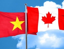 Thương mại Việt Nam – Canada khởi sắc, dư địa hợp tác vẫn rộng mở