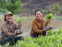 Khoa học công nghệ tạo động lực mới cho xuất khẩu nông sản