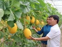 Hà Tĩnh tuyển chọn 7 nhiệm vụ khoa học, công nghệ và đổi mới sáng tạo năm 2026