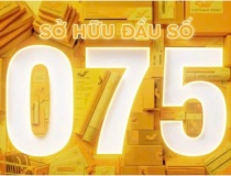 Tổng công ty Bưu điện Việt Nam trúng đấu giá đầu số 075