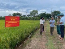 Thúc đẩy xây dựng nông thôn mới gắn với ứng dụng kỹ thuật công nghệ