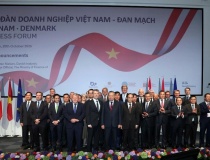 Petrovietnam tiên phong cùng các đối tác Đan Mạch phát triển điện gió ngoài khơi