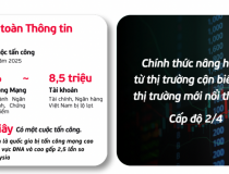 Việt Nam bị tấn công mạng cao nhất Đông Nam Á, cứ 57 giây lại có vụ nhắm vào ngân hàng, chứng khoán