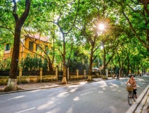 Việt Nam đứng thứ 4 trong danh sách điểm đến mùa thu nổi bật thế giới