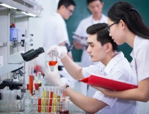 Chương trình hành động của Chính phủ về thu hút và trọng dụng nhân tài trong các ngành, lĩnh vực mũi nhọn