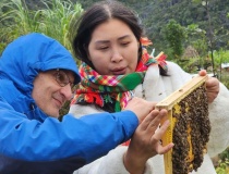 Cô gái Cờ Lao đưa nông sản Cao nguyên đá vươn xa nhờ chuyển đổi số