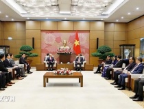 Tăng cường kết nối doanh nghiệp, giao lưu nhân dân Việt Nam-Hàn Quốc