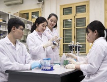 Nhóm nghiên cứu mạnh tại đại học sẽ được đánh giá theo tiêu chí nào?
