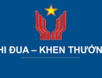 Ban hành Quy chế làm việc của Hội đồng Thi đua - Khen thưởng Trung ương