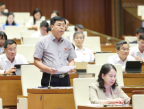 Quyết liệt thực hiện nhiệm vụ về xây dựng vị trí việc làm
