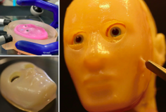 Nhà khoa học Nhật Bản tìm ra cách gắn da sống vào khuôn mặt robot