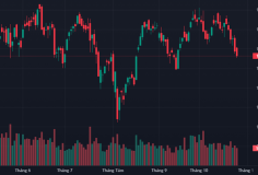 Chứng khoán hôm nay ngày 25/10/2024: Thanh khoản giảm, VN-Index tiếp tục thoái lui