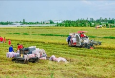 Lào Cai: Chuyển đổi số nông nghiệp đạt nhiều kết quả khả quan