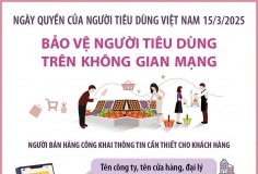 Bảo vệ người tiêu dùng trên không gian mạng