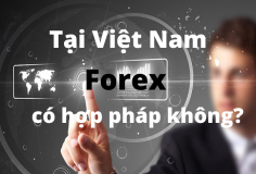 Chưa có một sàn Forex nào tại Việt Nam được cấp phép