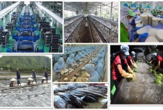 Tổng Bí thư Tô Lâm và tư duy lý luận mới về kinh tế tư nhân