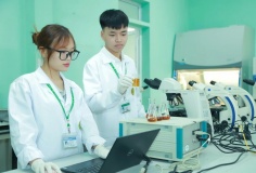 Nâng cao hiệu quả đầu tư hiện đại hóa giáo dục đại học