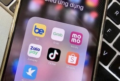 Người Việt dùng 