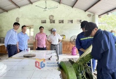 Khai thác trí tuệ, kiến tạo tương lai: Quảng Ninh đẩy mạnh hợp tác khoa học công nghệ