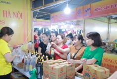 Kinh tế tư nhân - Động lực quan trọng của nền kinh tế quốc gia