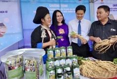 Xây dựng hệ sinh thái thương mại điện tử vùng Trung du và miền núi phía Bắc