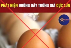 Thông tin về “trứng gà giả” tại Việt Nam là bịa đặt