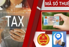 Sử dụng số định danh cá nhân thay cho mã số thuế từ 01/7/2025: Lưu ý với người nộp thuế