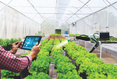 TP.HCM phát động cuộc thi Khởi nghiệp đổi mới sáng tạo trong lĩnh vực nông nghiệp công nghệ cao