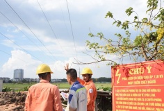 Thanh Hóa triển khai thực hiện nghiêm túc các quy định về quản lý hành lang an toàn lưới điện cao áp
