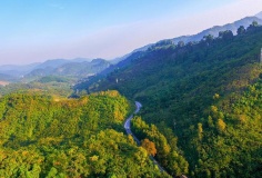 Việt Nam đang dần hoàn thiện khung pháp lý cho thị trường “carbon rừng”
