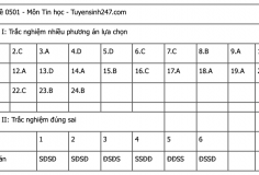 Đáp án tham khảo tất cả các mã đề môn Tin học kỳ thi tốt nghiệp THPT 2025