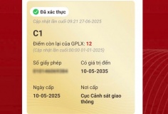 Cách hiển thị bằng lái xe mới trên VNeID sau khi hoàn thành thủ tục online