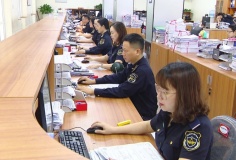 Giải quyết hơn 50 nghìn tờ khai hải quan trong ngày đầu chuyển đổi mô hình bộ máy