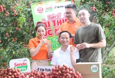 Từ 