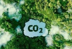 Việt Nam xây dựng thị trường carbon: Từ cam kết Net Zero đến 