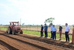 Hà Nội ban hành chương trình khuyến nông chú trọng chuyển giao khoa học công nghệ