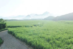 Chuyển đổi xanh giúp doanh nghiệp đáp ứng yêu cầu thị trường, giữ đơn hàng, tăng xuất khẩu