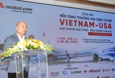Giải pháp chiến lược cho bài toán xuất khẩu số hóa của DN Việt
