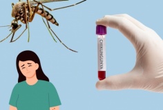 Bệnh Chikungunya lan rộng, Bộ Y tế phát thông báo khẩn tới các địa phương