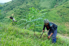 Quảng Trị khởi động dự án hỗ trợ sinh kế thích ứng biến đổi khí hậu