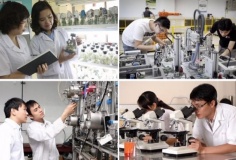 Ban hành Khung hướng dẫn phát triển khoa học công nghệ, đổi mới sáng tạo, chuyển đổi số phục vụ tăng trưởng kinh tế địa phương