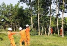Ngành điện miền Trung triển khai ứng phó khẩn cấp với bão số 5