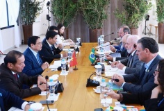 Thúc đẩy đàm phán FTA với Mercosur và GCC: Cơ hội mới cho thương mại Việt Nam