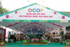 Thương mại Đồng Tháp: Tăng tốc số hóa, mở rộng chuỗi giá trị