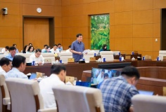 Định vị rõ Luật Thương mại điện tử trong hệ thống pháp luật