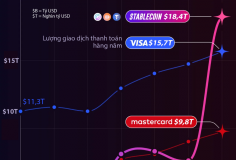 Giao dịch thanh toán bằng stablecoin vượt Visa và Mastercard