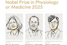 Nobel Y sinh 2025 vinh danh 3 nhà khoa học với nghiên cứu miễn dịch